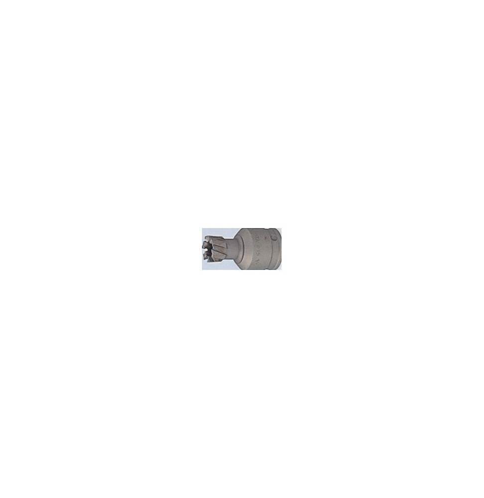 Makita B-02266 BÜYÜK ELMAS BIÇAKLI METAL DELİCİ 14 mm