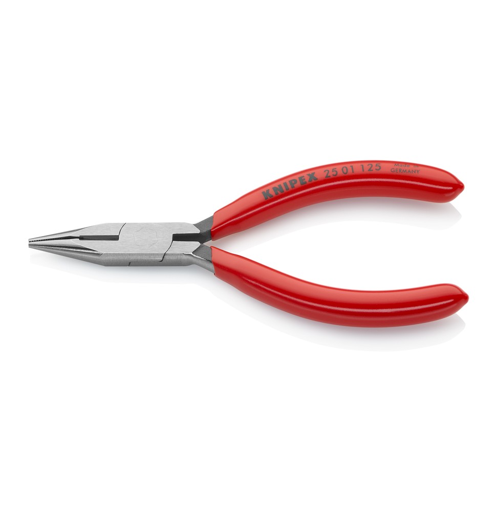 Knipex 2501125 KARGABURUN 125 mm