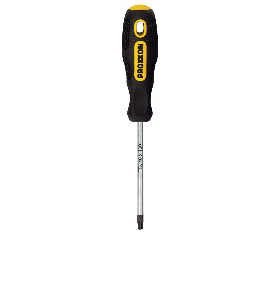 Proxxon Endüstriyel 22232 DELİKLİ TORX TORNAVİDA 10 mm