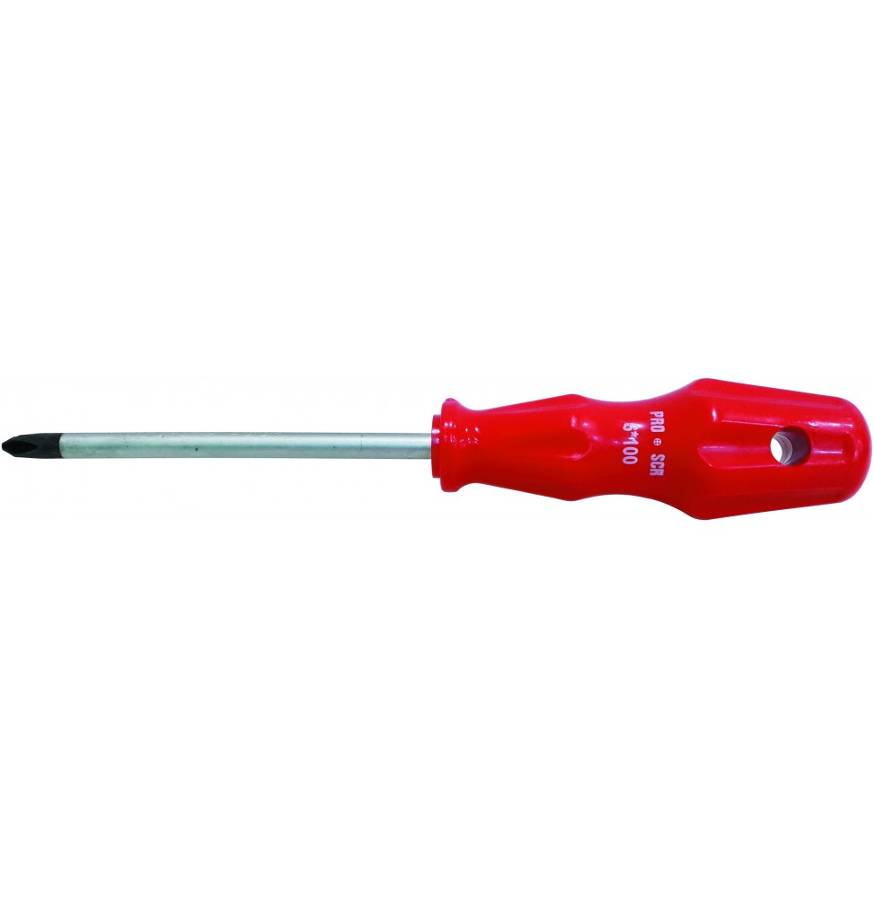 Proscr SCR02583 YILDIZ UÇLU TORNAVİDA 6x125 mm