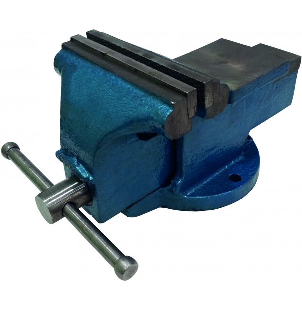 Partner PT21143 SABİT TABLALI MENGENE 100 mm