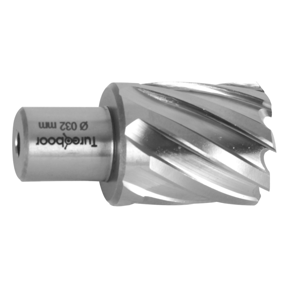 Turcoboor THS19 KESİCİ UÇ 19x30 mm